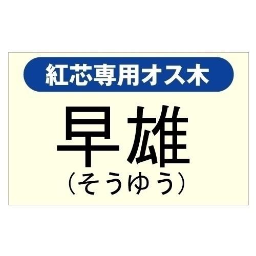 果樹苗 紅芯キウイ専用オス木 早雄 1株（Yahoo!・花と緑 国華園）
