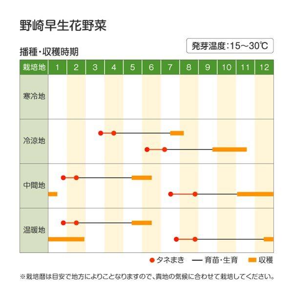 カリフラワー タネ 野崎早生花野菜 1袋 1ml 種 野菜たね Ytc21 P6c 031 花と緑 国華園 通販 Yahoo ショッピング