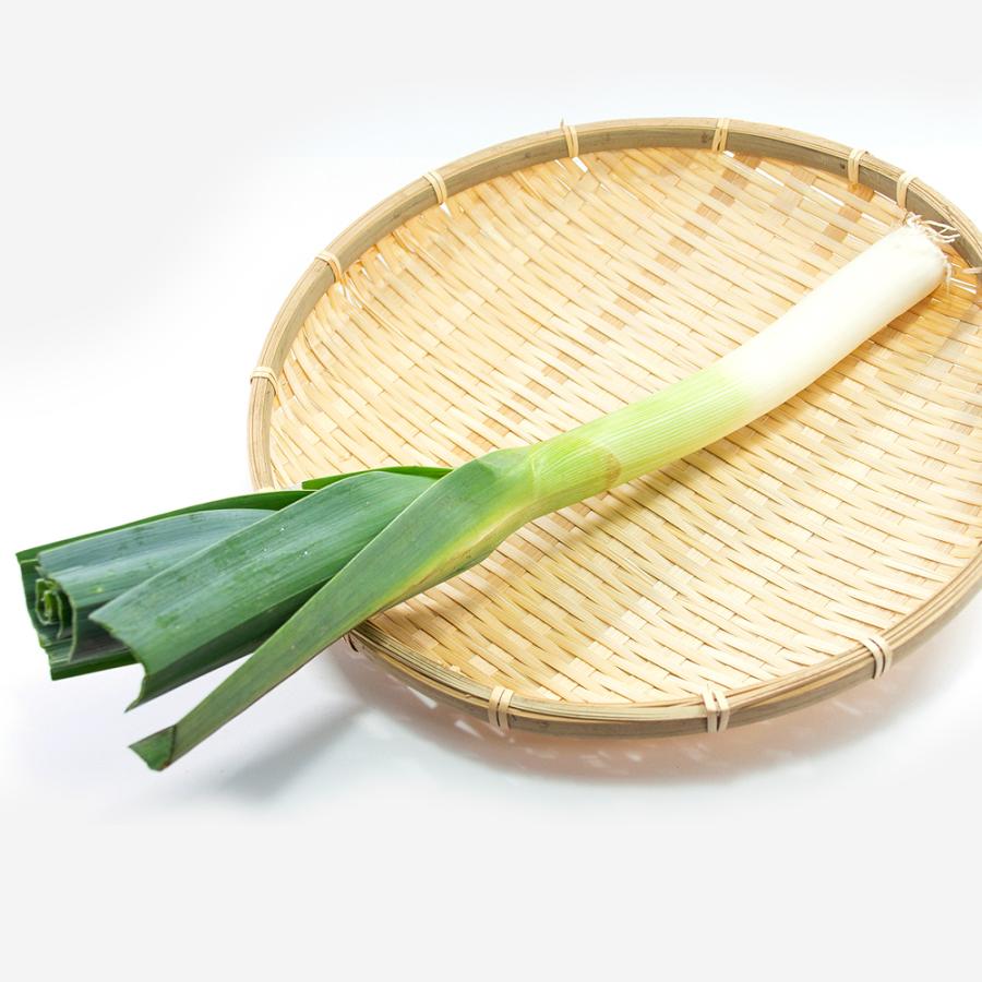 ネギ 種 野菜たね リーキ 1袋 5ml 野菜のタネ 野菜 西洋葱 セール品 タネ 国華園 葱 西洋ネギ Ytc40 種子 ネギの種