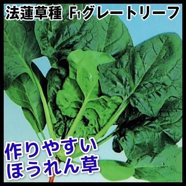 ホウレン草 種 野菜たね F1グレートリーフ 1袋 30ml 野菜のタネ 野菜 種子 ほうれん草の種 ほうれん草 法蓮草 ホウレンソウ タネ Ytc44 国華園 P6c 163 花と緑 国華園 通販 Yahoo ショッピング
