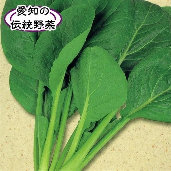 小松菜 最大58％オフ！ コマツナ タネ 正月菜 1袋 セール 種 野菜たね 10ml