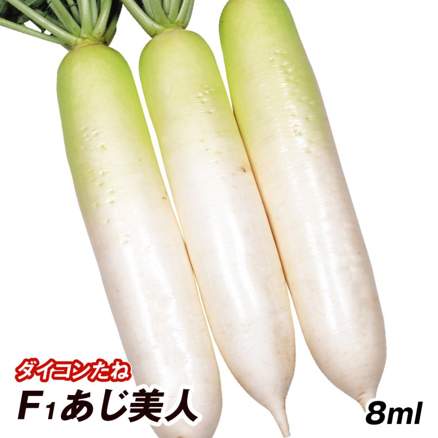 種 野菜たね ダイコン F1あじ美人 1袋（8ml） 大根 野菜の種 国華園