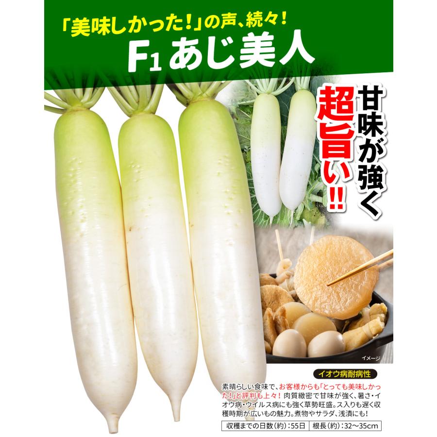 国華園 種 野菜たね ダイコン F1あじ美人 1袋（8ml） 大根 やさいの種