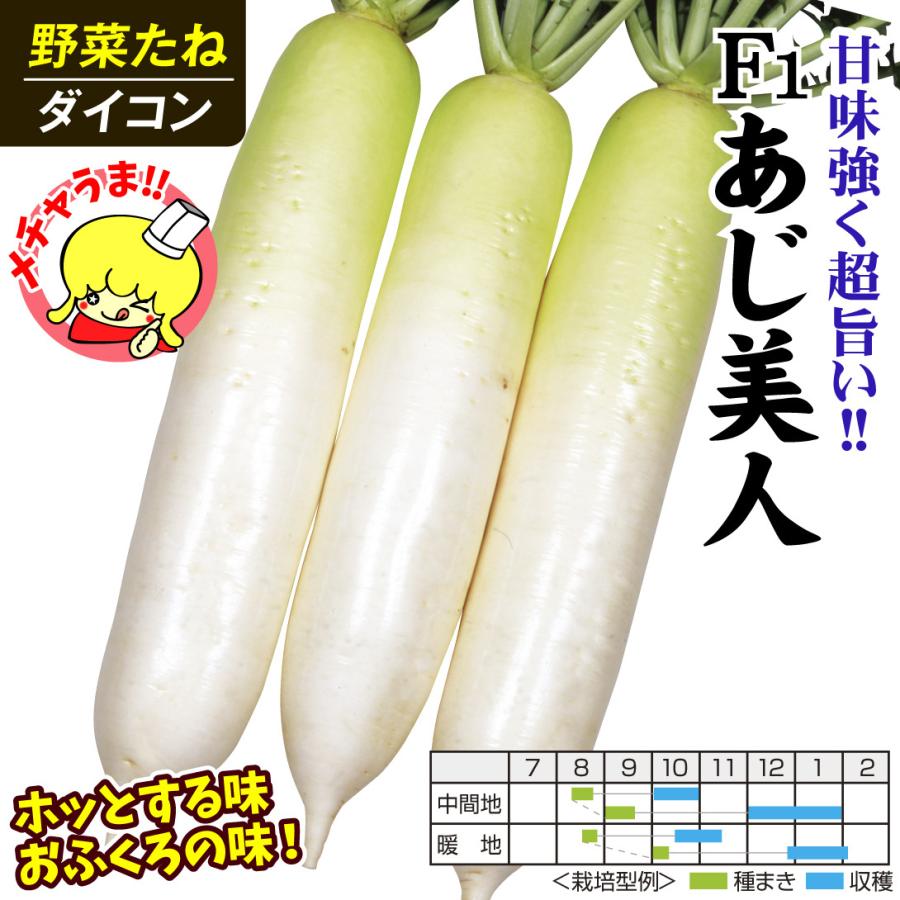 実物実物種 野菜たね ダイコン F1あじ美人 1袋（8ml） 根菜、豆類、もやし