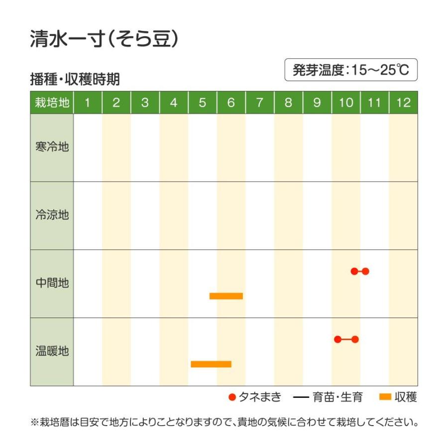 ソラマメ 種 野菜たね マメ 清水一寸 1袋 8粒 野菜のタネ 野菜 種子 ソラマメの種 豆 そらまめ そら豆 空豆 タネ Ytc35 国華園 P6c 406 花と緑 国華園 通販 Yahoo ショッピング
