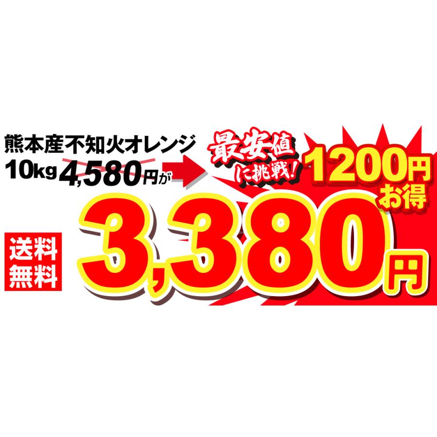 みかん 10kg 不知火オレンジ お買得 熊本産 不知火 オレンジ 柑橘 蜜柑