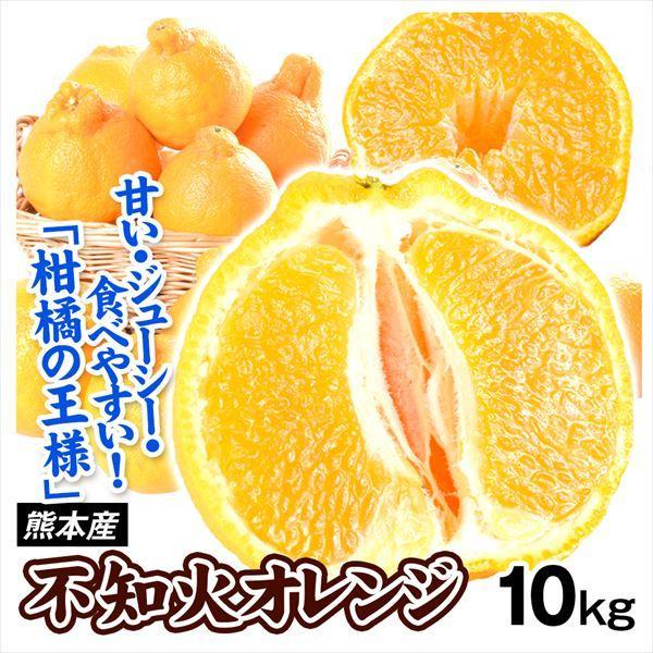 みかん 10kg 不知火オレンジ お買得 熊本産 不知火 オレンジ 柑橘 蜜柑
