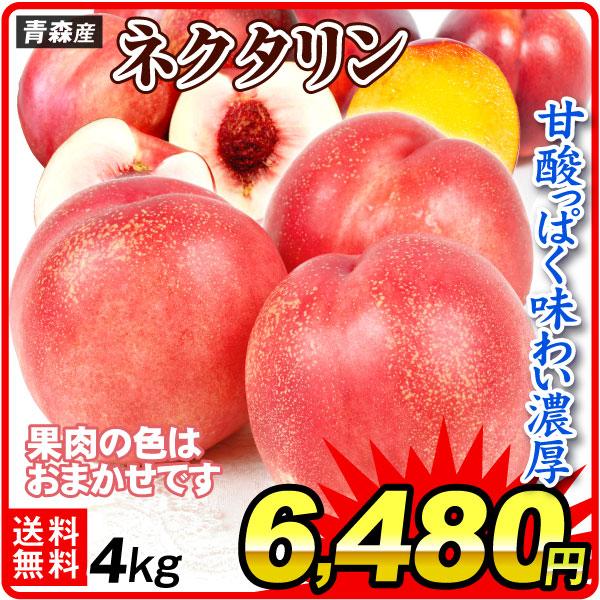 163.ネクタリン　油桃16玉入り　箱込み2.5kg 常温発送 もも 約4kg ネクタリン 青森産 ご家庭用 油桃 冷蔵便 送料無料 食品