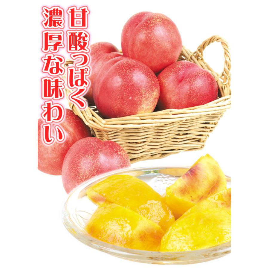 もも 約4kg ネクタリン 青森産 ご家庭用 油桃 冷蔵便 送料無料 食品