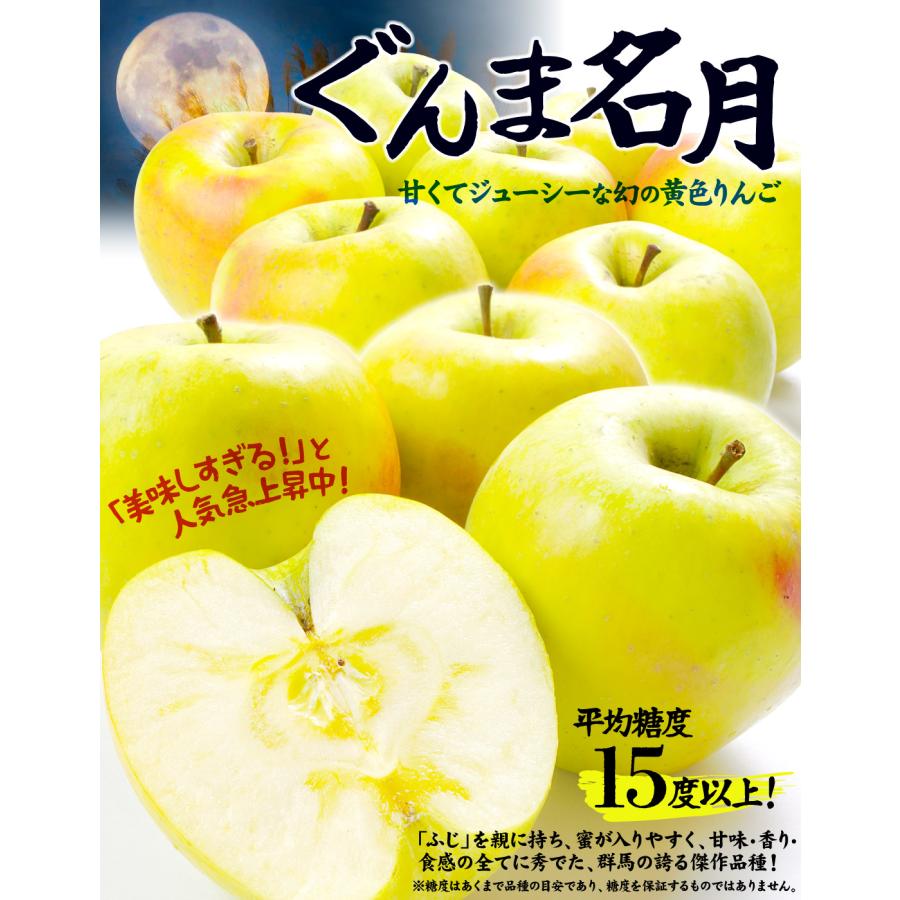 国華園 りんご 10kg ぐんま名月 青森産 送料無料 食品 : 花と緑 国華園