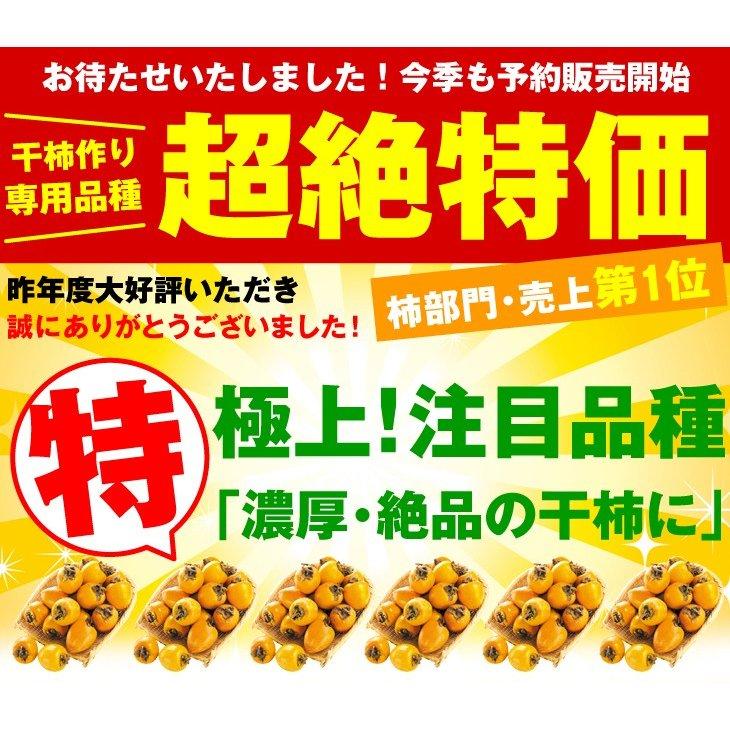 柿 10kg 愛宕柿【干柿用渋柿】 ご家庭用 徳島・愛媛産 送料無料 食品