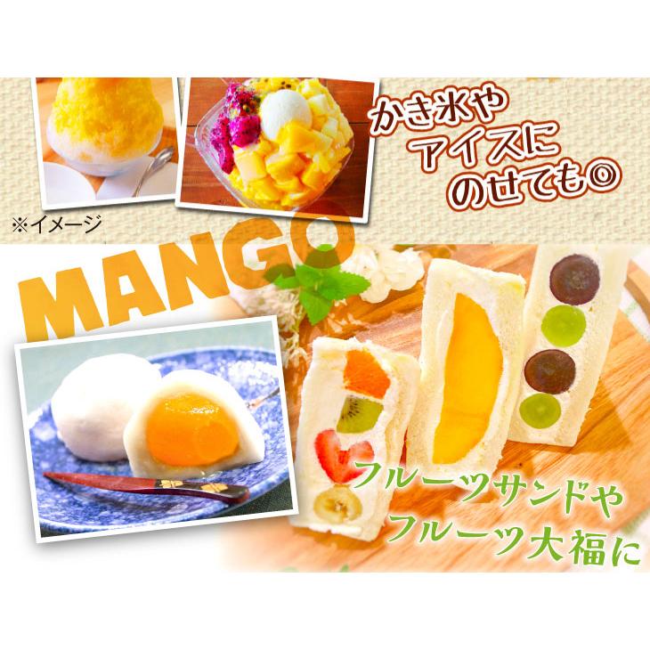 マンゴー 宮崎産 ご家庭用 ミニマンゴー 約400ｇ 1組 南国フルーツ 食品 国華園 S Fs2252 花と緑 国華園 通販 Yahoo ショッピング