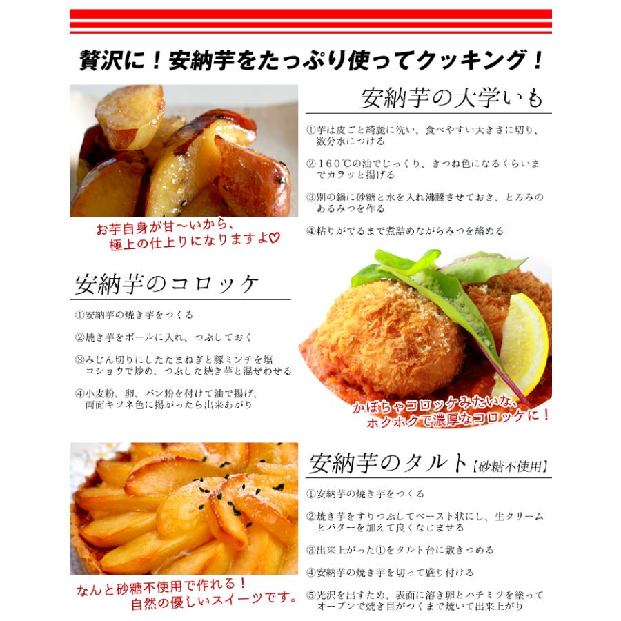 さつまいも 2kg 安納芋 種子島産 送料無料 食品 : 花と緑 国華園