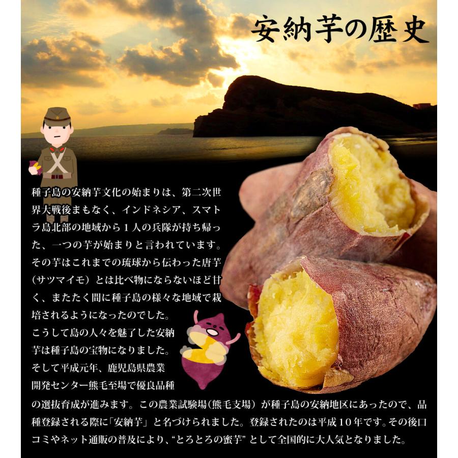 さつまいも 2kg 安納芋 種子島産 送料無料 食品 : 花と緑 国華園