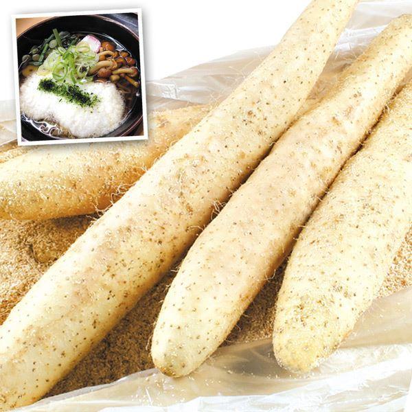 山いも 10kg 北海道産 長いも(一本物)10〜15本 送料無料 芋 野菜 食品 国華園 :s-fs2373:花と緑 国華園 - 通販 - Yahoo!ショッピング 山いも 10kg 北海道産 長いも(一本物)10〜15本 送料無料 芋 野菜 食品 国華園 :s-fs2373:花と緑 国華園 - 通販 - Yahoo!ショッピング