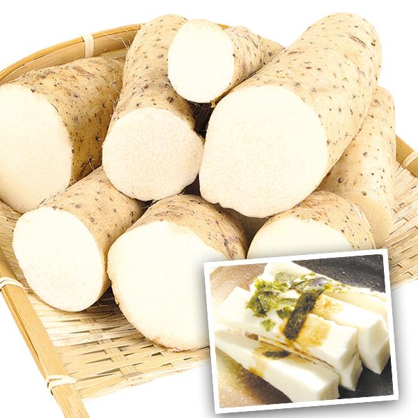 山いも 10kg 青森産 長いも(切れ子)ご家庭用 規格外 送料無料 芋 野菜 食品 国華園 :s-fs2617:花と緑 国華園 - 通販 - Yahoo!ショッピング 山いも 10kg 青森産 長いも(切れ子)ご家庭用 規格外 送料無料 芋 野菜 食品 国華園 :s-fs2617:花と緑 国華園 - 通販 - Yahoo!ショッピング