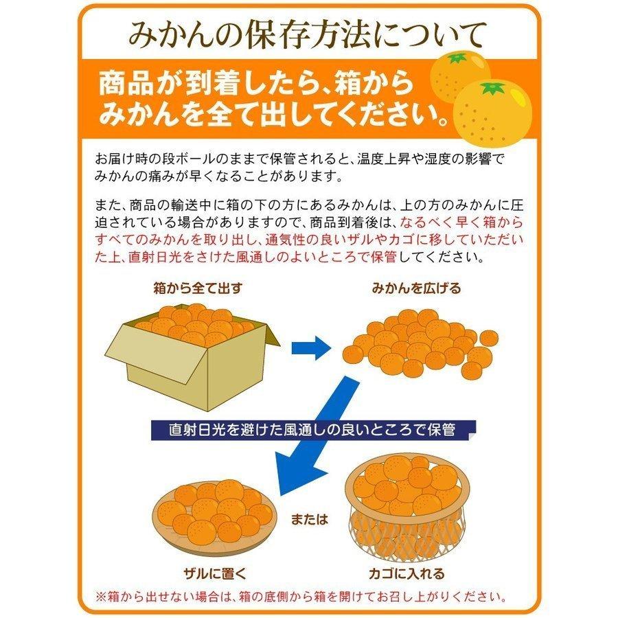 みかん 熊本産 小玉 こぐまみかん 10kg ご家庭用 くまもとみかん 国華園 サイズ混合 3s S混合 柑橘 売り込み