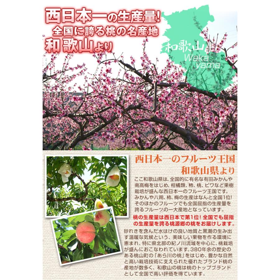 桃 もも 4kg 和歌山産 紀の里の桃 モモ 果物 食品 国華園 S Fs22 花と緑 国華園 通販 Yahoo ショッピング