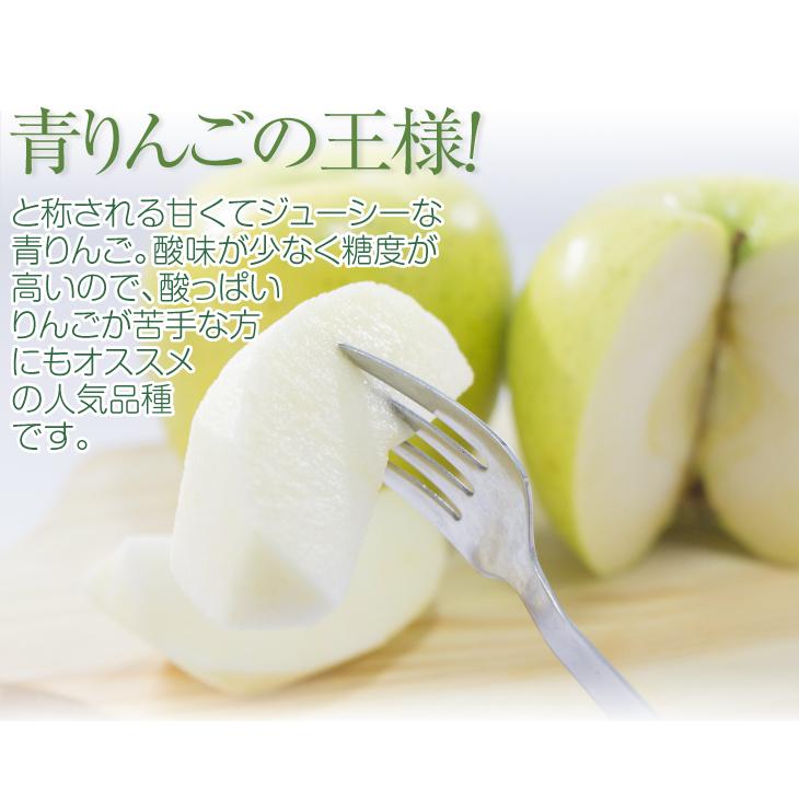 りんご 10kg 王林 ご家庭用 青森産 送料無料 食品 : 花と緑 国華園
