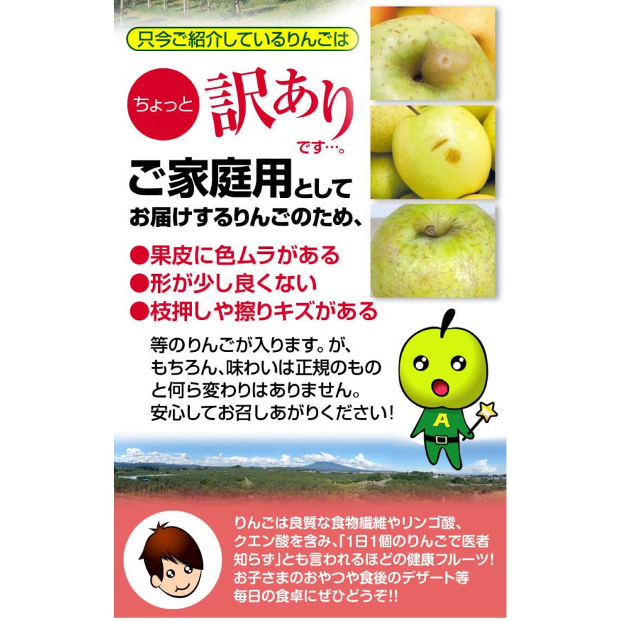 岩手県産 りんご 王林 家庭用 約10kg 楽天市場】”王林りんご” 訳あり 約10kg 大きさおまかせ 産地厳選【予約