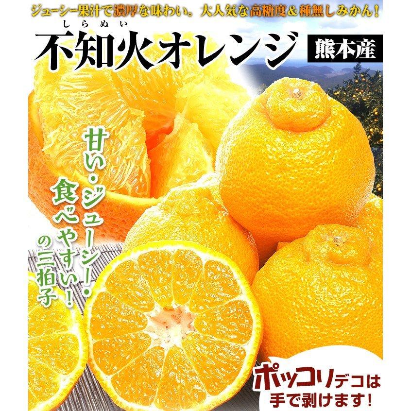 みかん 熊本産 不知火オレンジ 10kg ご家庭用 無選別 デコポンと同品種 しらぬい デコみかん 蜜柑 柑橘 フルーツ 果物 食品 国華園 S Fs2992 花と緑 国華園 通販 Yahoo ショッピング