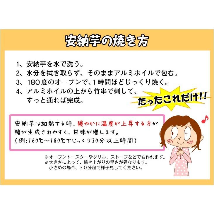 さつまいも 5kg 種子島産 お買得 安納芋ミックス 送料無料 ご家庭用 無選別 野菜 食品 国華園 迅速な対応で商品をお届け致します