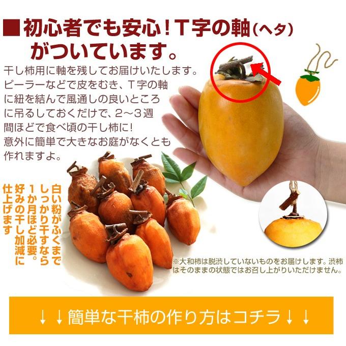 徳島産 大和柿干柿用渋柿 10kg 1箱 S Fs3023 花と緑 国華園 通販 Yahoo ショッピング