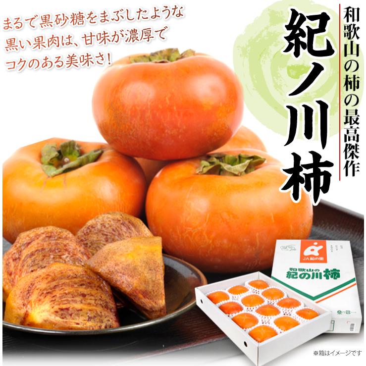 柿 和歌山産 紀ノ川柿 約4kg 送料無料 食品 : 花と緑 国華園 - 通販