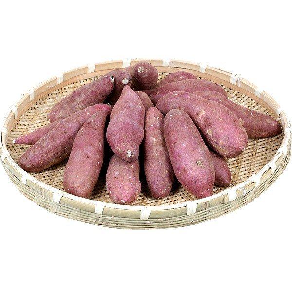 さつまいも 大分産 甘太くん 5kg 送料無料 食品 : 花と緑 国華園 さつまいも 大分産 甘太くん 5kg 送料無料 食品 : 花と緑 国華園