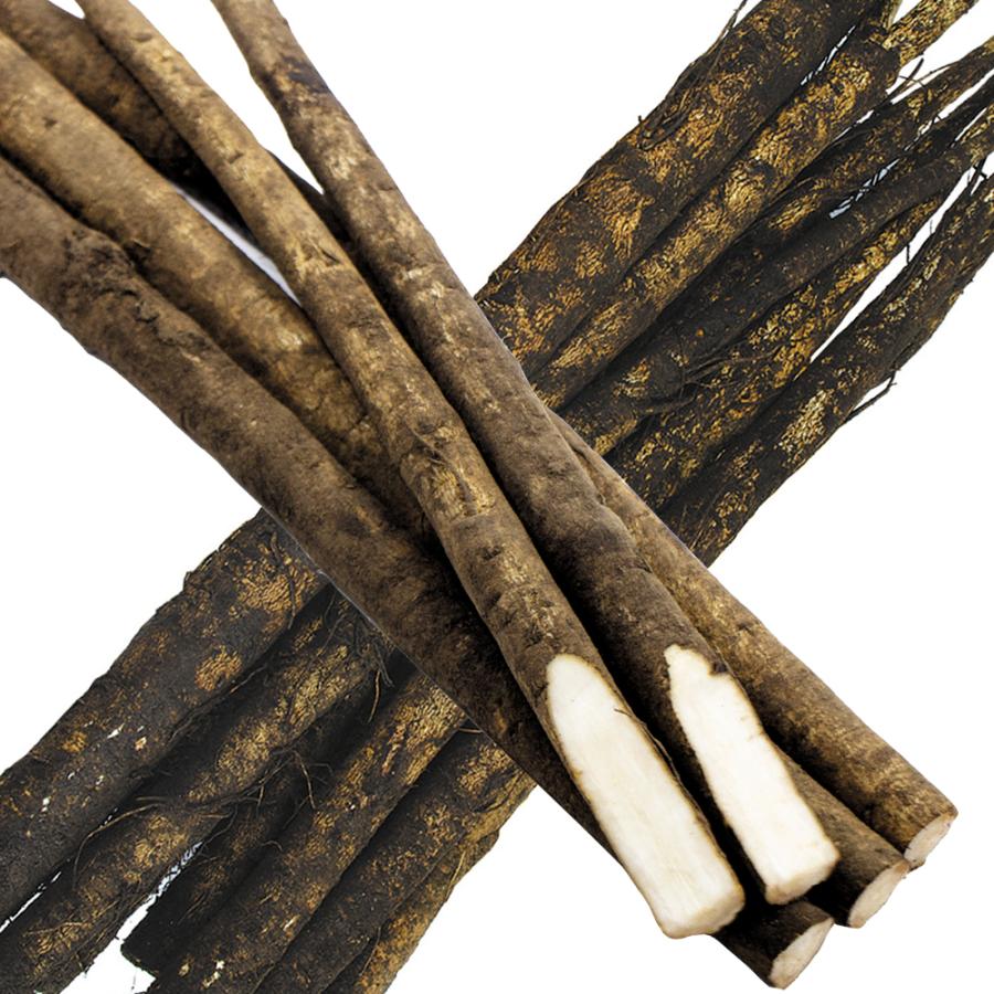 ごぼう 4kg 土付き 青森産 送料無料 食品 : 花と緑 国華園 - 通販