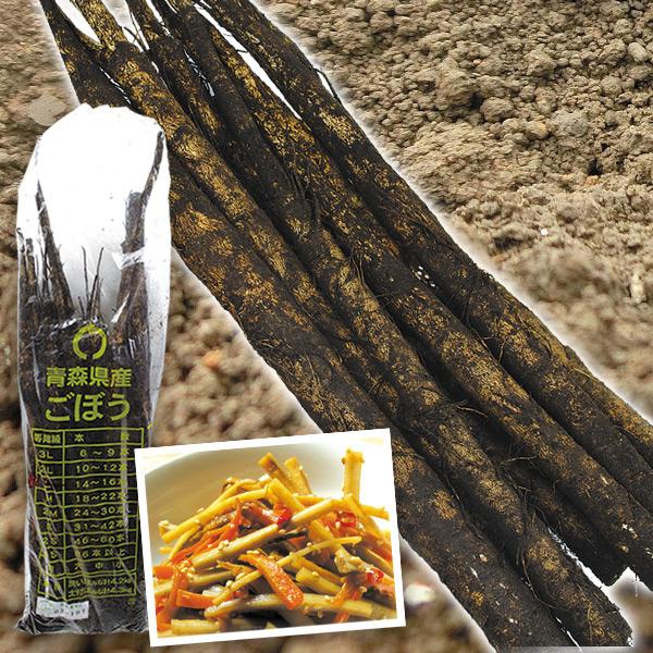 国華園 ごぼう 4kg 土付き 青森産 送料無料 食品 : 花と緑 国華園