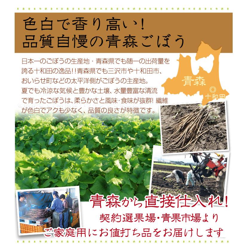 国華園 ごぼう 4kg 土付き 青森産 送料無料 食品 : 花と緑 国華園