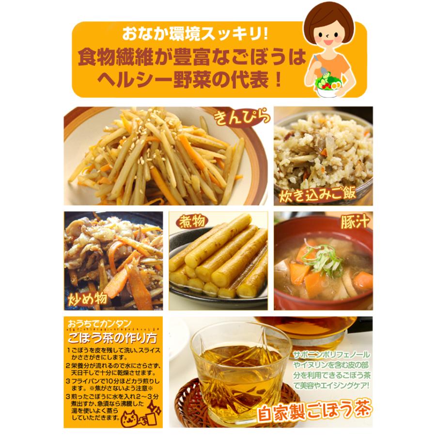 国華園 ごぼう 4kg 土付き 青森産 送料無料 食品 : 花と緑 国華園