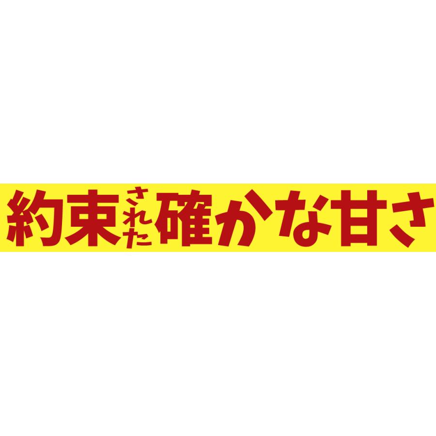 りんご 10kg 糖度13度以上 高糖度サンふじ センサー選別 甘い 青森産