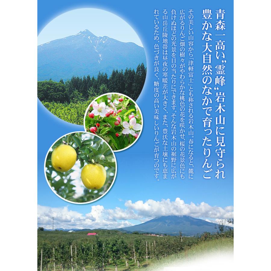 りんご 10kg 糖度13度以上 高糖度サンふじ センサー選別 甘い 青森産