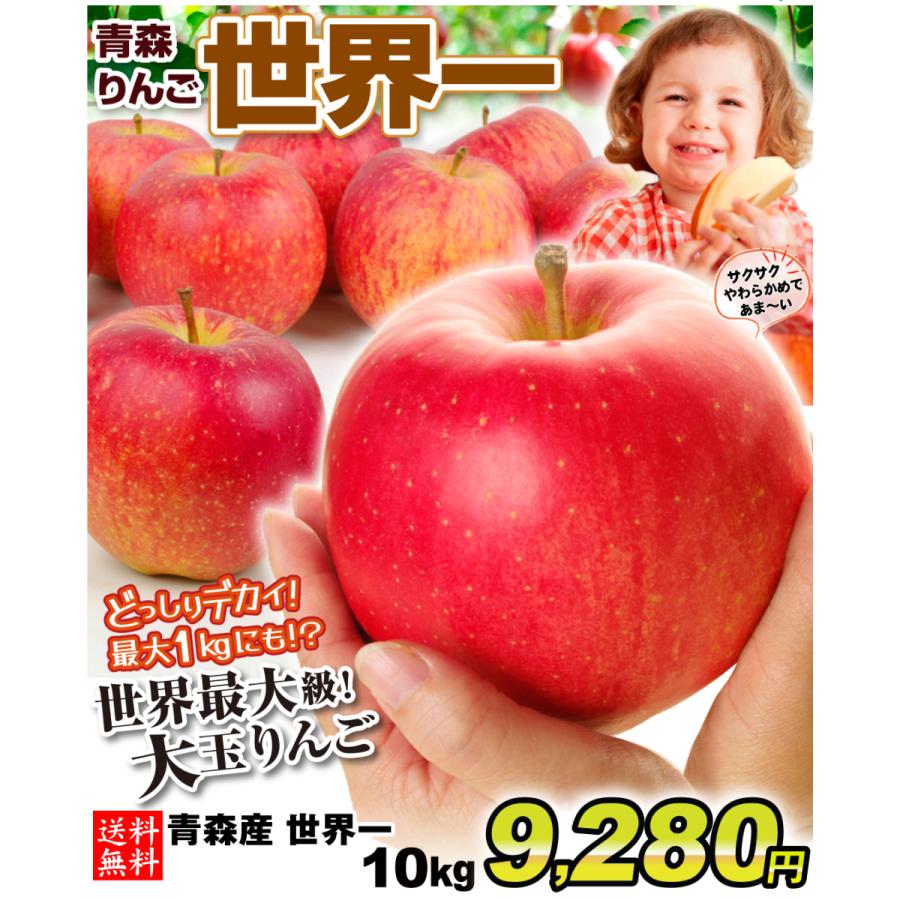 りんご 10kg 青森産 世界一1箱 16 40玉 大玉 特大 せかいいち 送料無料 林檎 フルーツ食品 国華園 S Fs3147 花と緑 国華園 通販 Yahoo ショッピング