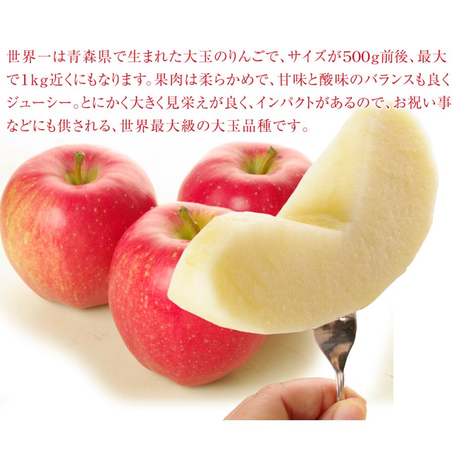 りんご 10kg 青森産 世界一（16〜40玉）1箱 大玉 せかいいち 希少品種 送料無料 林檎 フルーツ食品 国華園 :s-fs3147:花と緑  国華園 - 通販 - Yahoo!ショッピング