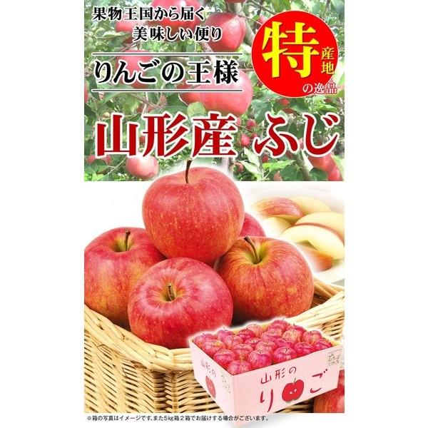 りんご 5kg 山形産 ふじ・サンふじ(24〜54玉)ご家庭用 産地直送 送料無料 林檎 フルーツ食品 国華園 :s-fs3155:花と緑 国華園 - 通販 - Yahoo!ショッピング りんご 5kg 山形産 ふじ・サンふじ(24〜54玉)ご家庭用 産地直送 送料無料 林檎 フルーツ食品 国華園 :s-fs3155:花と緑 国華園 - 通販 - Yahoo!ショッピング