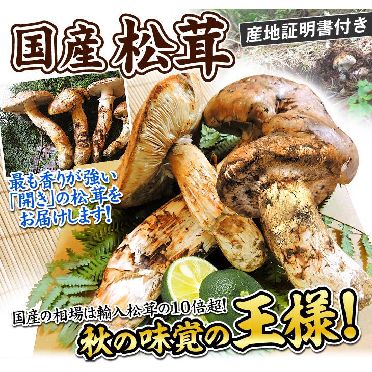 特価 Ｂ級品 約700ｇ 信州産マツタケ 松茸 10/17朝採り ごはんから焼き