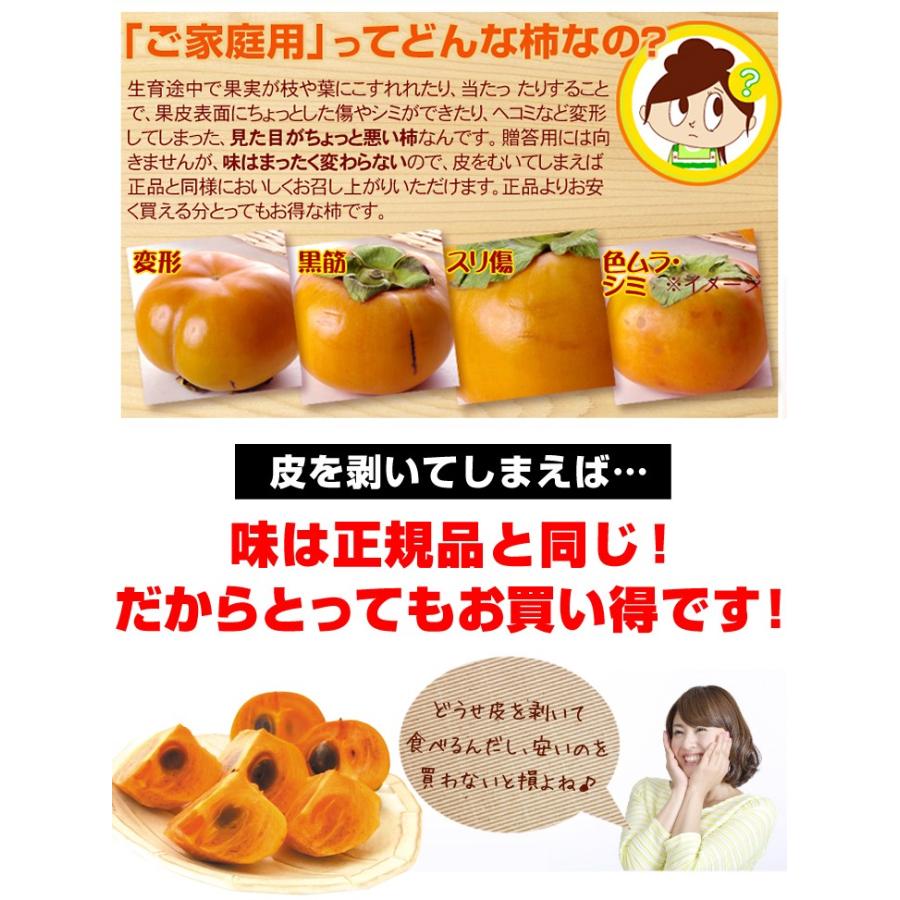 柿 7.5kg 富有柿 ご家庭用 和歌山産 送料無料 食品 : 花と緑 国華園