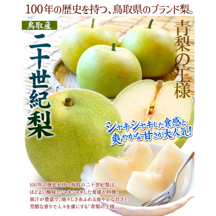 梨 10kg 二十世紀梨 鳥取産 ご家庭用 送料無料 食品 : 花と緑 国華園