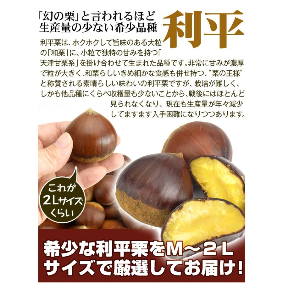 栗 1kg 利平栗 熊本産 冷蔵便 送料無料 食品 : 花と緑 国華園 - 通販
