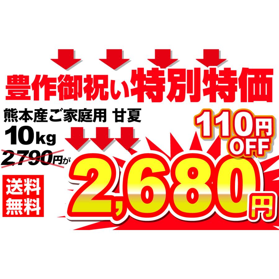 みかん 10kg 甘夏 ご家庭用 熊本産 柑橘 蜜柑 果物 フルーツ 送料無料