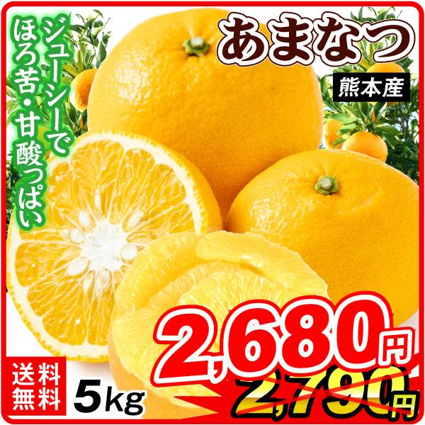 みかん 10kg 甘夏 ご家庭用 熊本産 柑橘 蜜柑 果物 フルーツ 送料無料