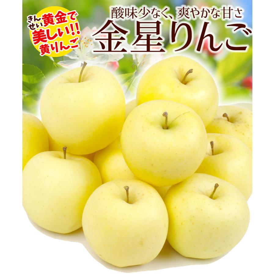 りんご 10kg 金星 青森産 送料無料 食品 : 花と緑 国華園 - 通販