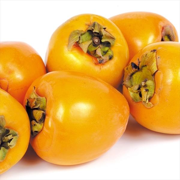 柿 徳島産 愛宕柿 脱渋済み渋柿 10袋 玉 1組 送料無料 食品 S Fs3312 花と緑 国華園 通販 Yahoo ショッピング