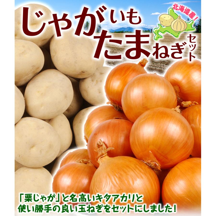 じゃがたまセット 2種10kg（各5kg入り） 北海道産 じゃがいも たまねぎ