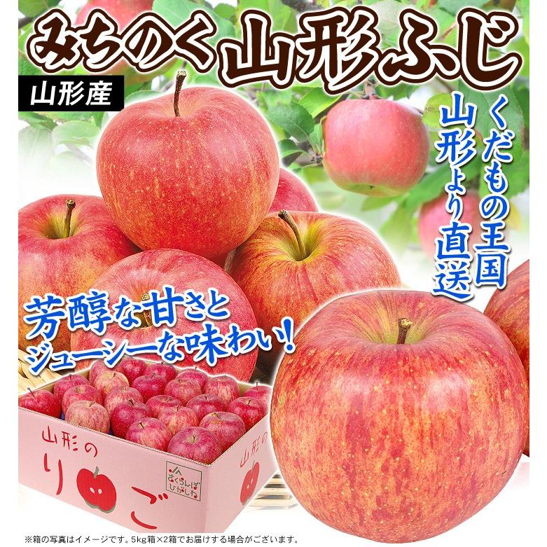 りんご 10kg みちのく サンふじ 山形産 ご家庭用 ふじりんご 送料無料