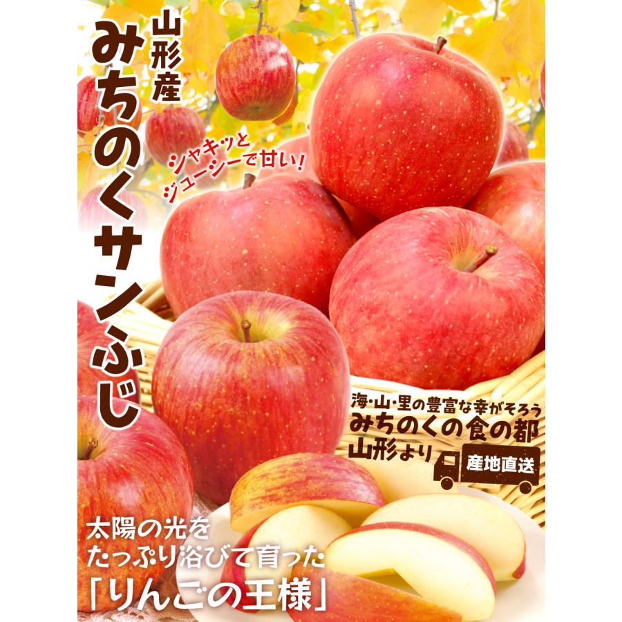 りんご 10kg みちのく サンふじ 山形産 ご家庭用 ふじりんご 送料無料