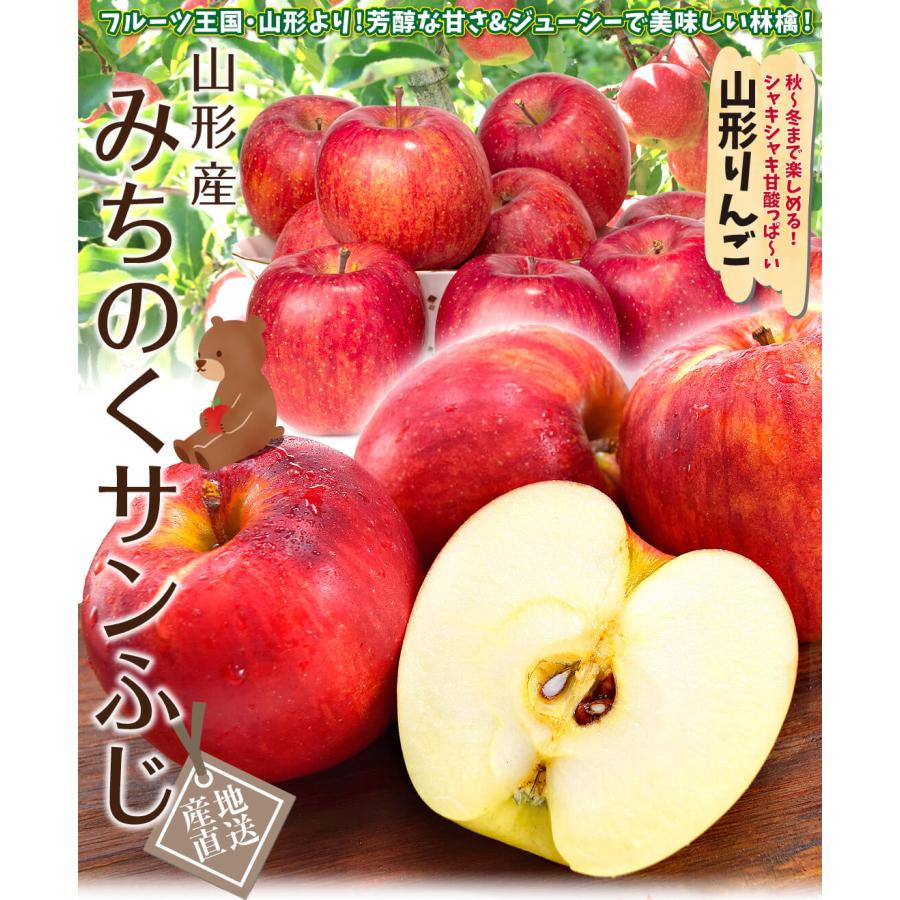 りんご 10kg みちのく サンふじ 山形産 ご家庭用 ふじりんご 送料無料